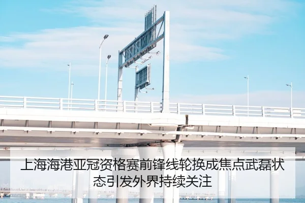 上海海港亚冠资格赛前锋线轮换成焦点武磊状态引发外界持续关注